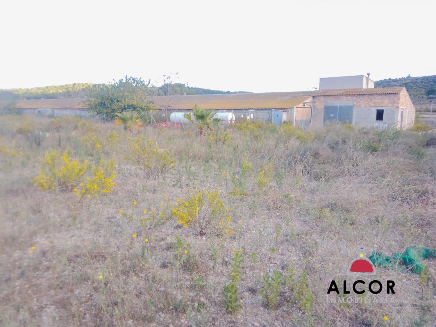 Azienda in vendita in Traiguera - 54.000 € (Rif: 9356328)