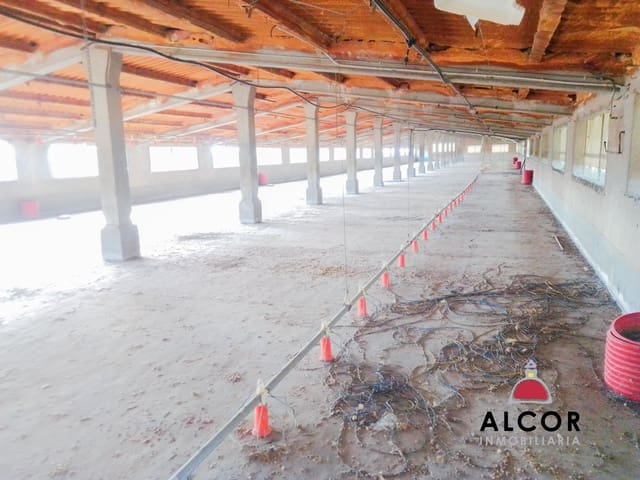 Business for sale in Traiguera - € 54,000 (Ref: 9356328)