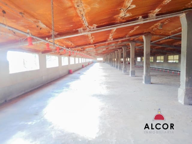 Business for sale in Traiguera - € 54,000 (Ref: 9356328)