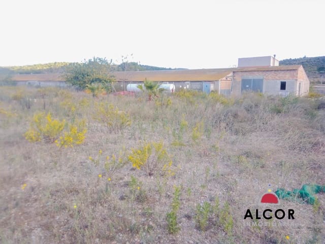 Business for sale in Traiguera - € 54,000 (Ref: 9356328)