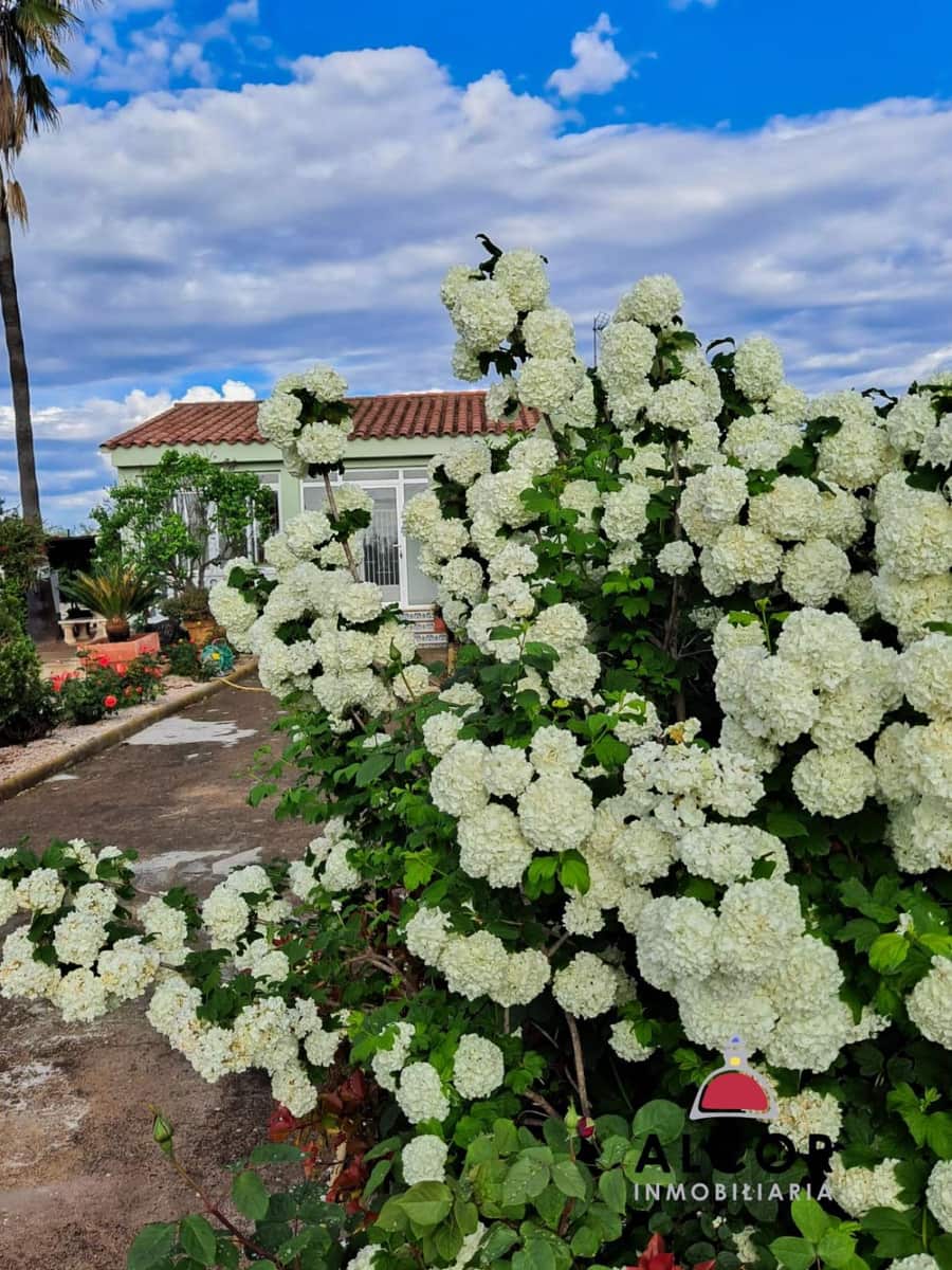 1 camera da letto Casa in vendita in Calig - 154.500 € (Rif: 9359787)