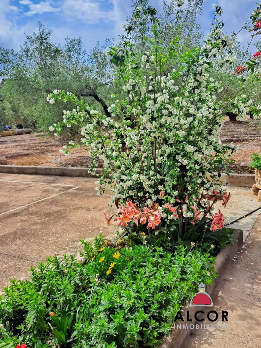 1 camera da letto Casa in vendita in Calig - 154.500 € (Rif: 9359787)