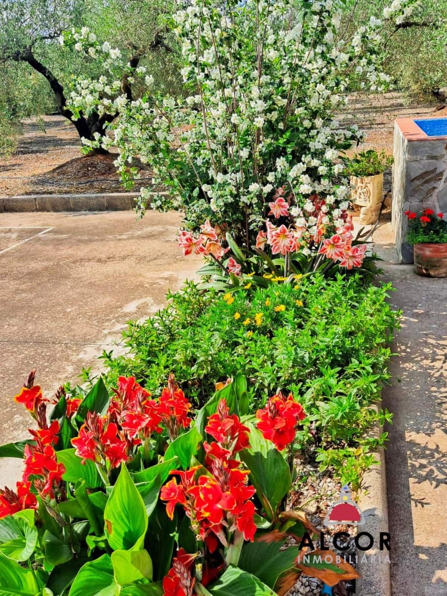 1 camera da letto Casa in vendita in Calig - 154.500 € (Rif: 9359787)