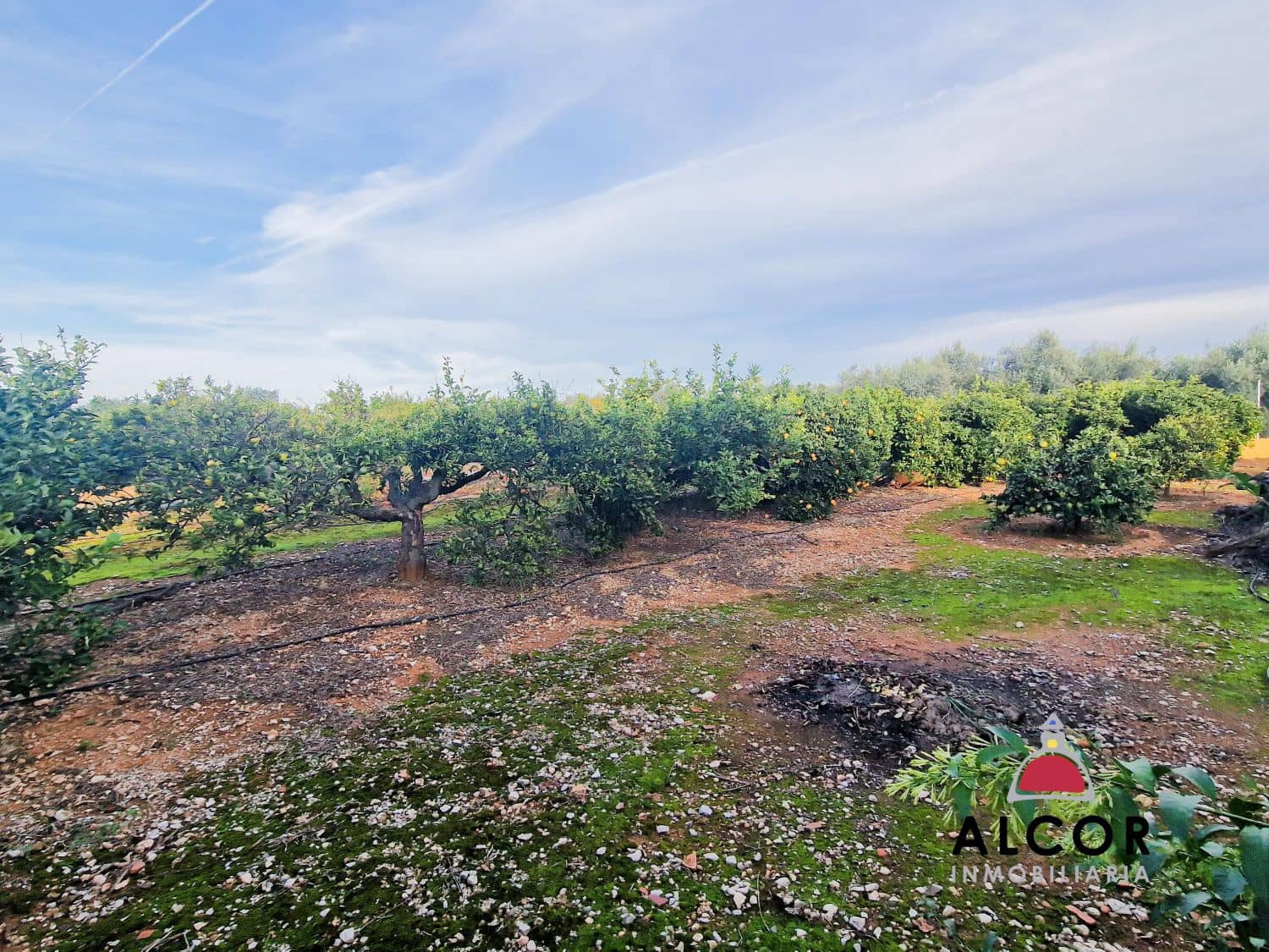 1 camera da letto Casa in vendita in Calig - 154.500 € (Rif: 9359787)