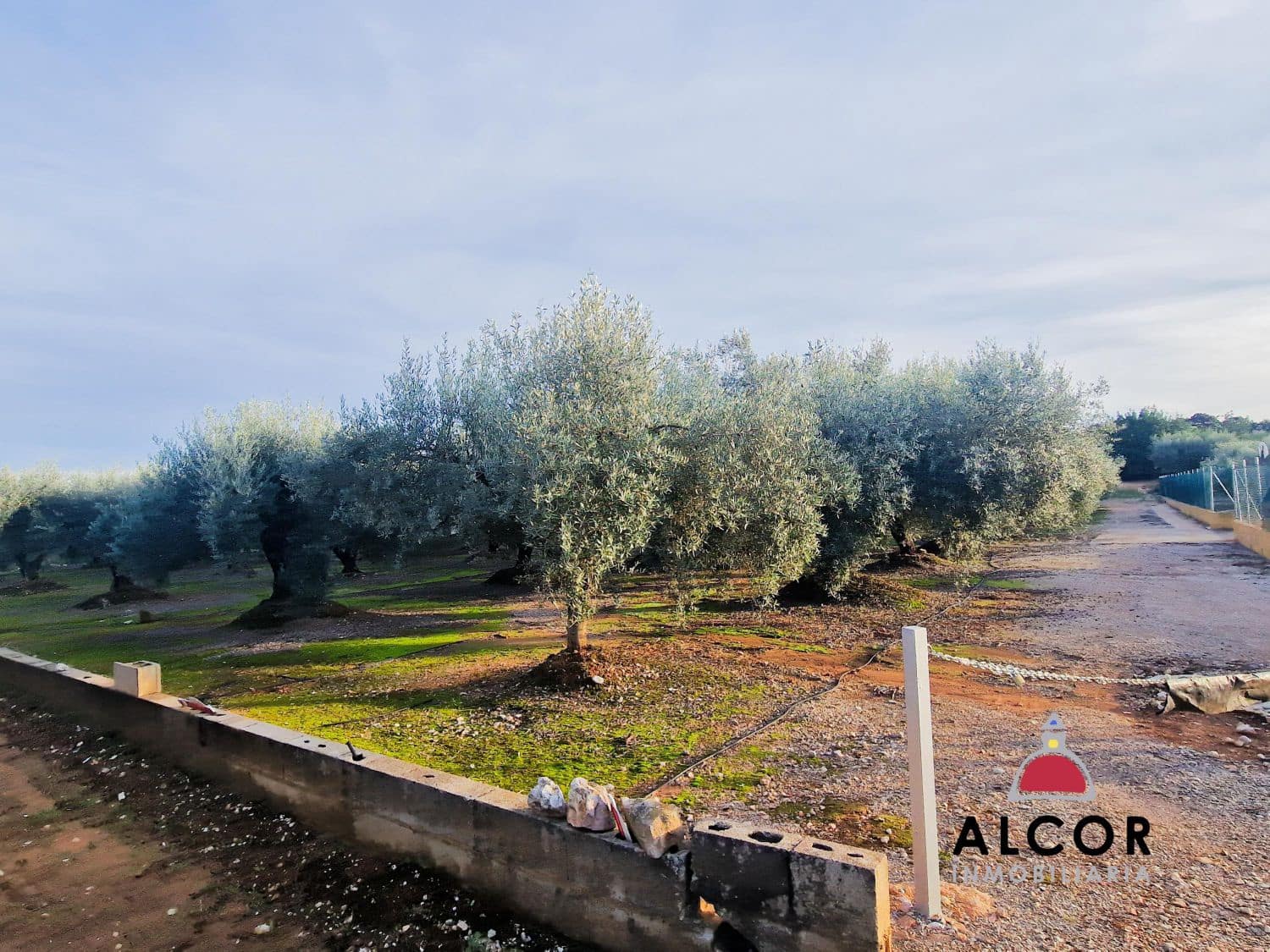 1 camera da letto Casa in vendita in Calig - 154.500 € (Rif: 9359787)