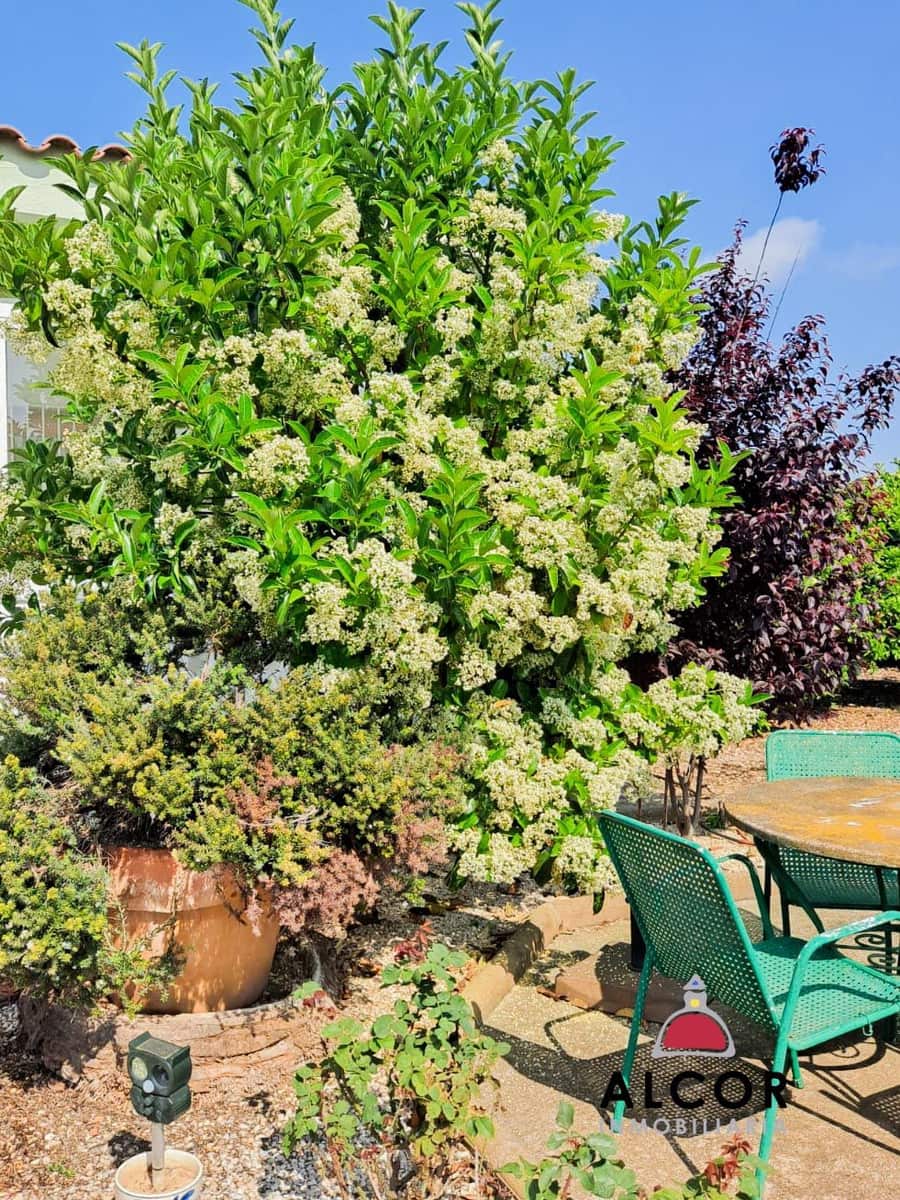 1 camera da letto Casa in vendita in Calig - 154.500 € (Rif: 9359787)