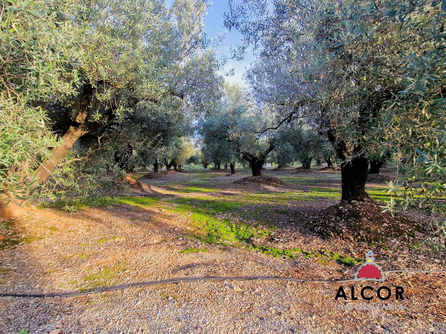 1 camera da letto Casa in vendita in Calig - 154.500 € (Rif: 9359787)