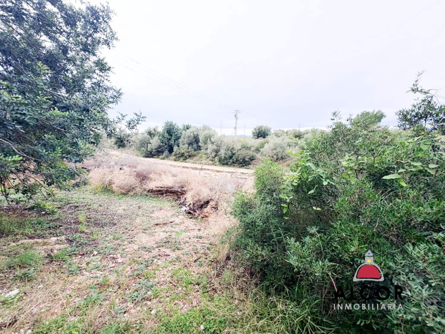 Finca/Casa Rural en Alcanar en venta - 70.000 € (Ref: 9564854)