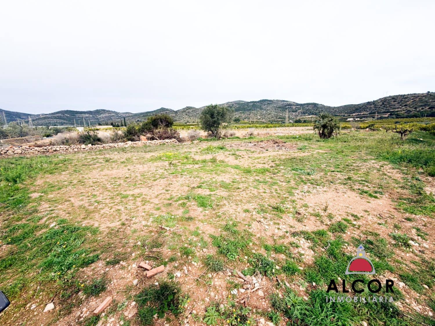 Finca/Casa Rural en Alcanar en venta - 70.000 € (Ref: 9564854)