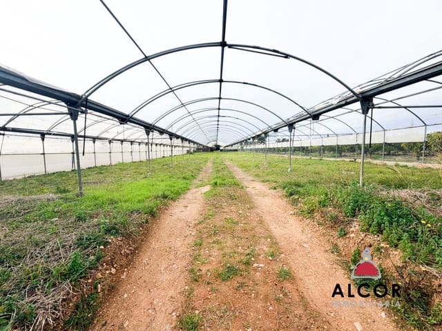 Finka/Dom wiejski na sprzedaż w Alcanar - 70 000 € (Ref: 9564854)