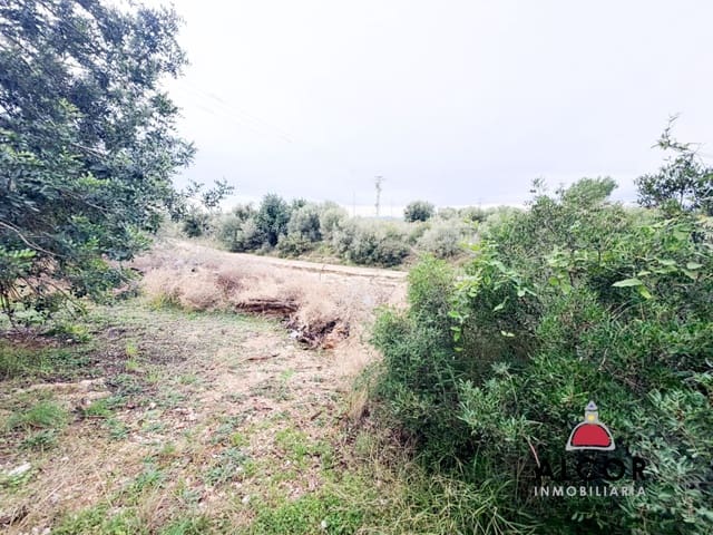 Finka/Dom wiejski na sprzedaż w Alcanar - 70 000 € (Ref: 9564854)