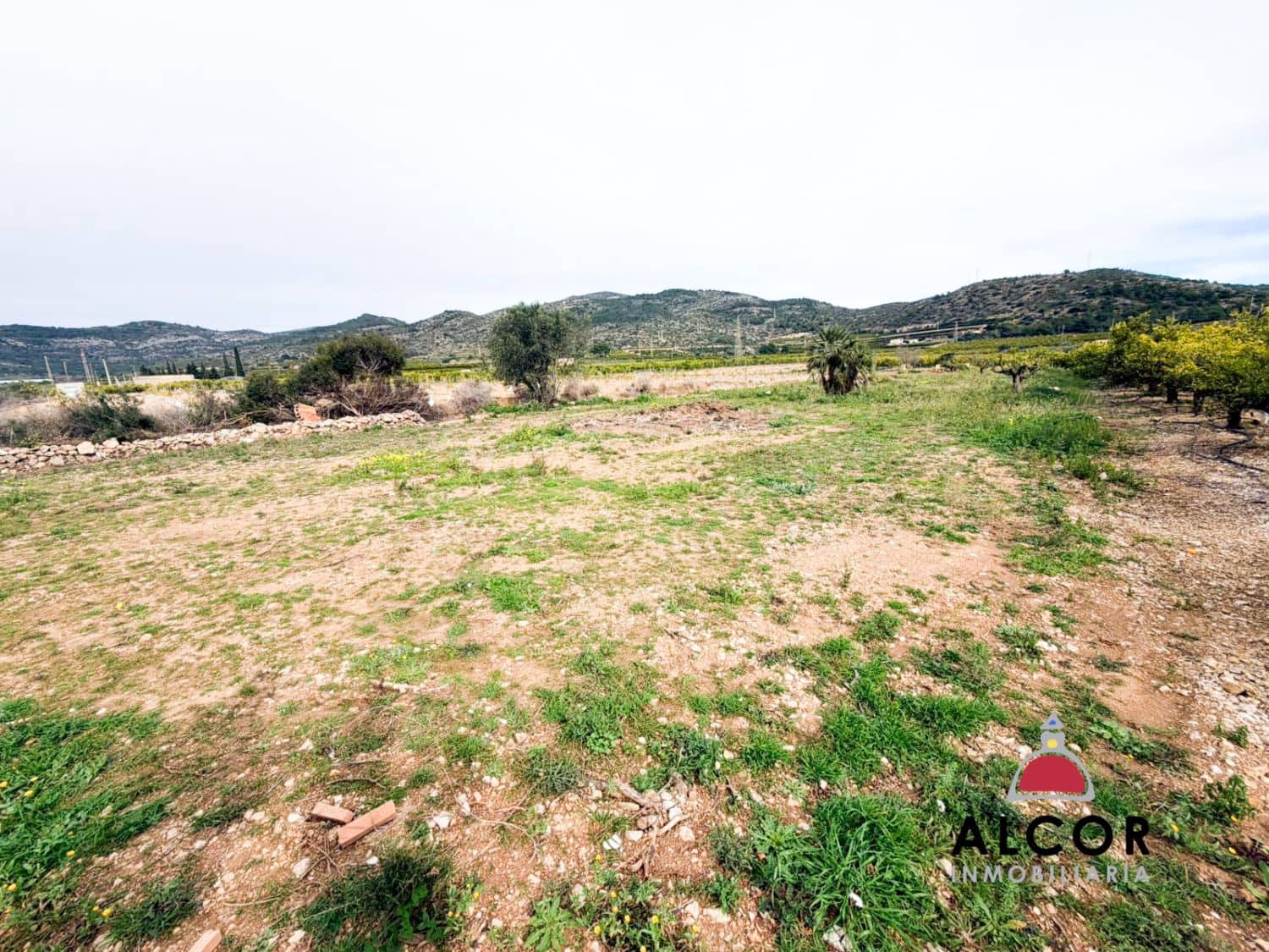 Finca/Casa Rural en Alcanar en venta - 70.000 € (Ref: 9564854)