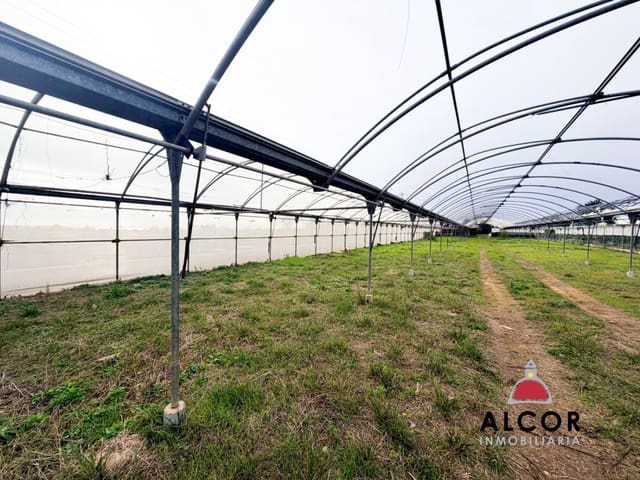 Finka/Dom wiejski na sprzedaż w Alcanar - 70 000 € (Ref: 9564854)