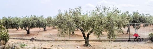 Finca/Landgut zu verkaufen in Sant Jordi - 260.000 € (Ref: 9690033)