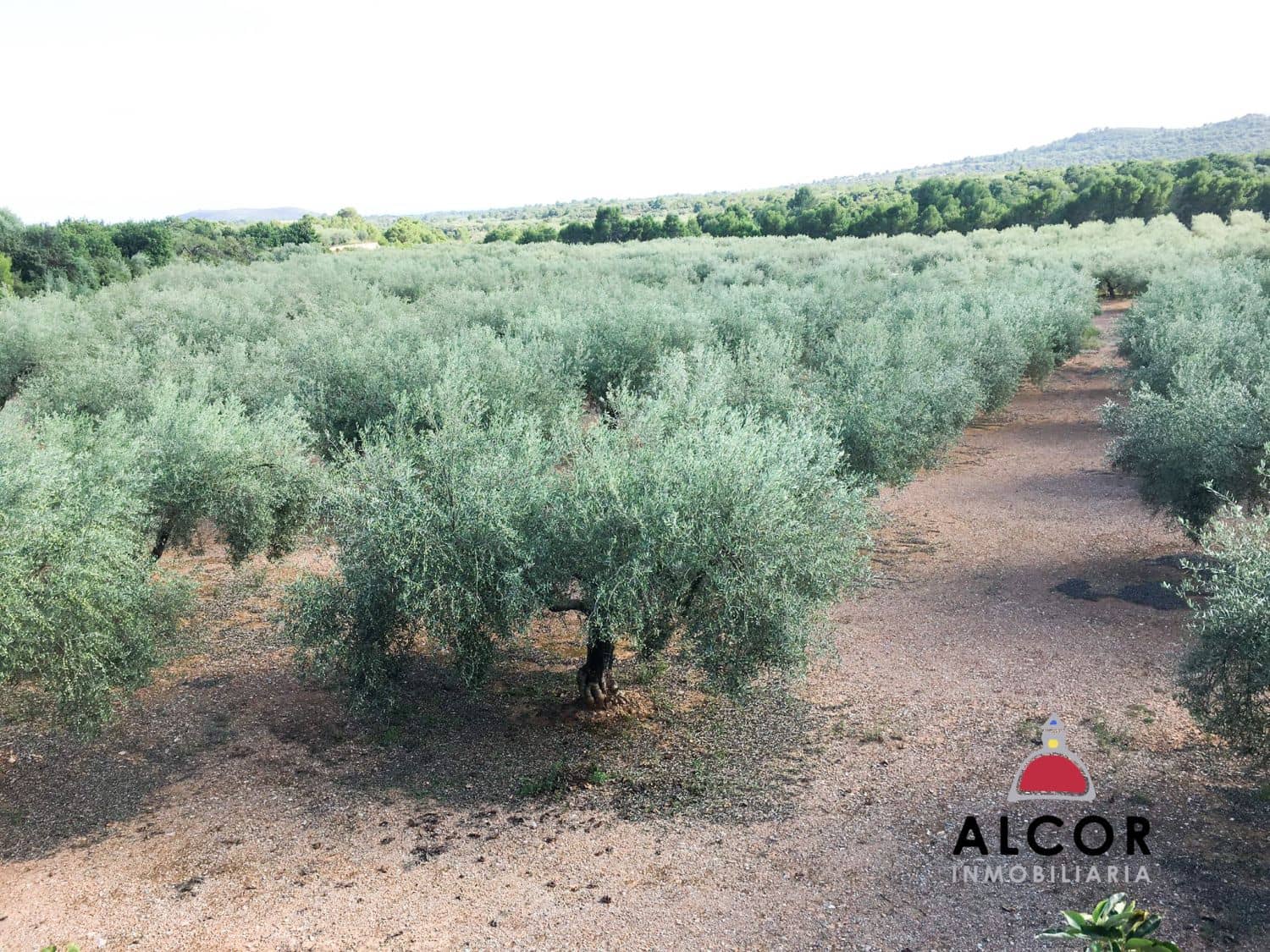 Finca/Landgut zu verkaufen in Sant Jordi - 260.000 € (Ref: 9690033)