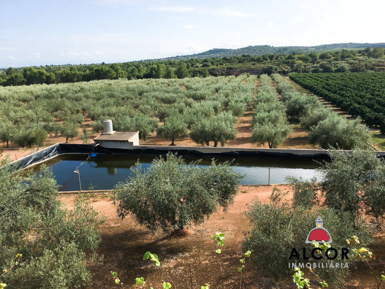 Finca/Landgut zu verkaufen in Sant Jordi - 260.000 € (Ref: 9690033)