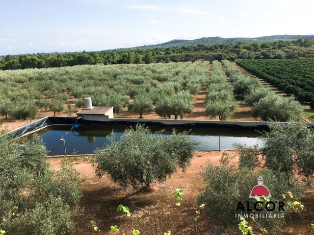 Finca/Landgut zu verkaufen in Sant Jordi - 260.000 € (Ref: 9690033)