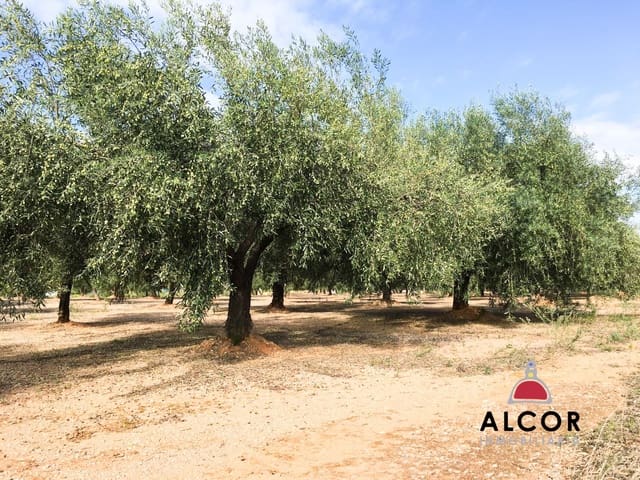 Finca/Landgut zu verkaufen in Sant Jordi - 260.000 € (Ref: 9690033)