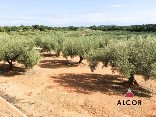 Finca/Landgut zu verkaufen in Sant Jordi - 260.000 € (Ref: 9690033)