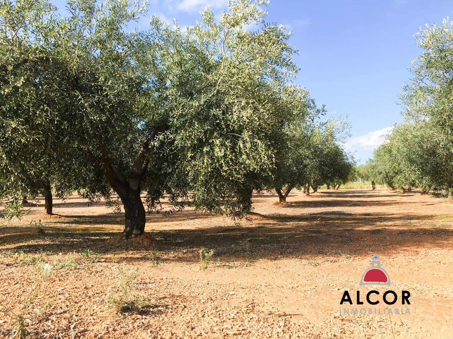 Finca/Landgut zu verkaufen in Sant Jordi - 260.000 € (Ref: 9690033)