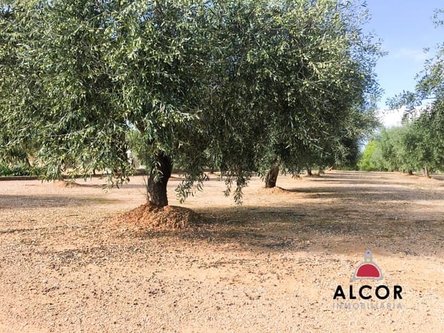 Finca/Landgut zu verkaufen in Sant Jordi - 260.000 € (Ref: 9690033)
