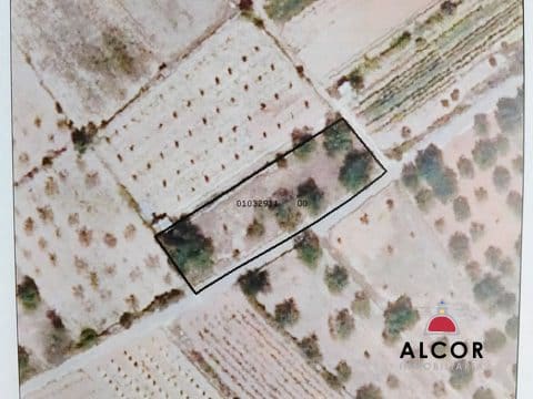 Terre non Aménagée à vendre à Alcala de Xivert - 5 000 € (Ref: 9806243)