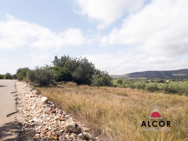 Terre non Aménagée à vendre à Alcalá de Xivert - 5 000 € (Ref: 9806243)