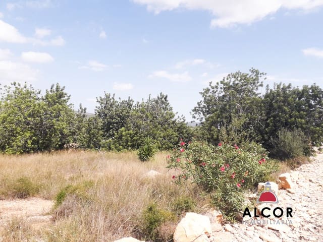 Terre non Aménagée à vendre à Alcalá de Xivert - 5 000 € (Ref: 9806243)