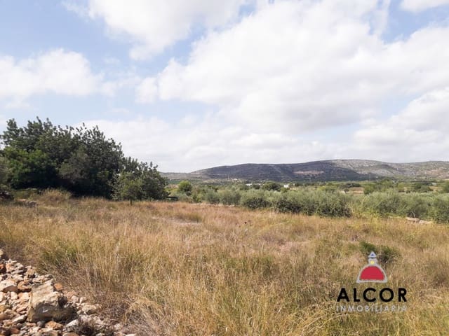 Terre non Aménagée à vendre à Alcalá de Xivert - 5 000 € (Ref: 9806243)