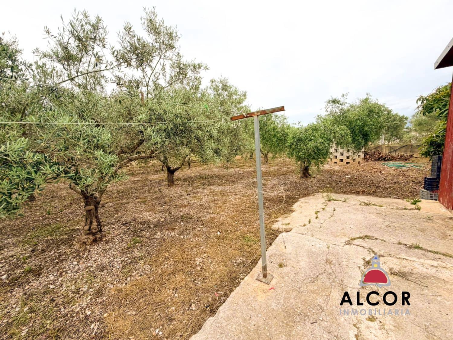 7 bedroom Villa for sale in Benicarlo - € 320,000 (Ref: 9828777)