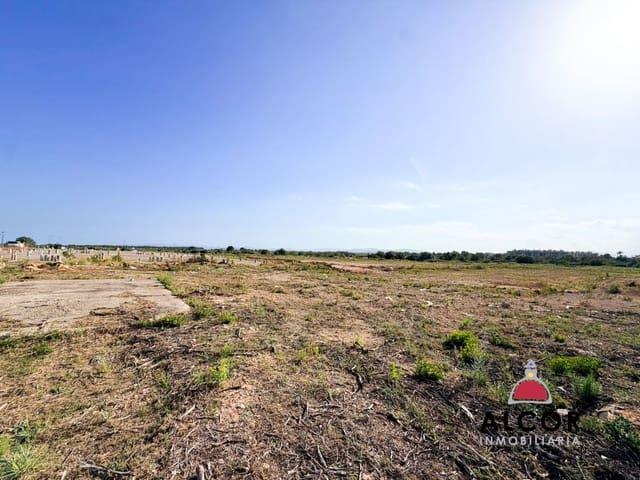 Grunde uden byggetilladelser til salg i Sant Jordi - € 42.000 (Ref: 9880688)