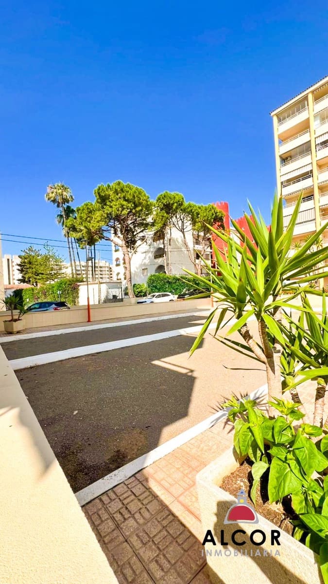 Gewerbe zu verkaufen in Peniscola - 65.000 € (Ref: 9891840)