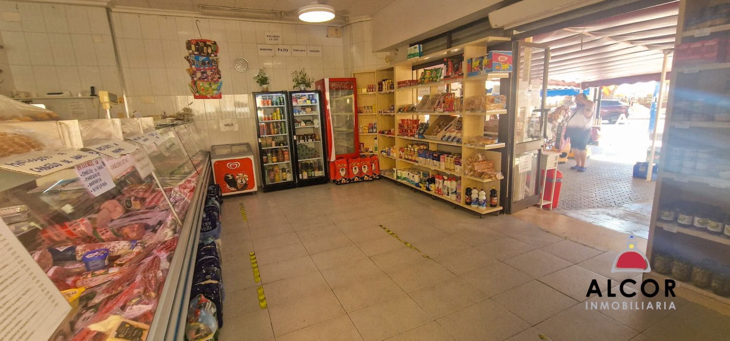 Commercial for sale in Peniscola - € 450,000 (Ref: 9891840)