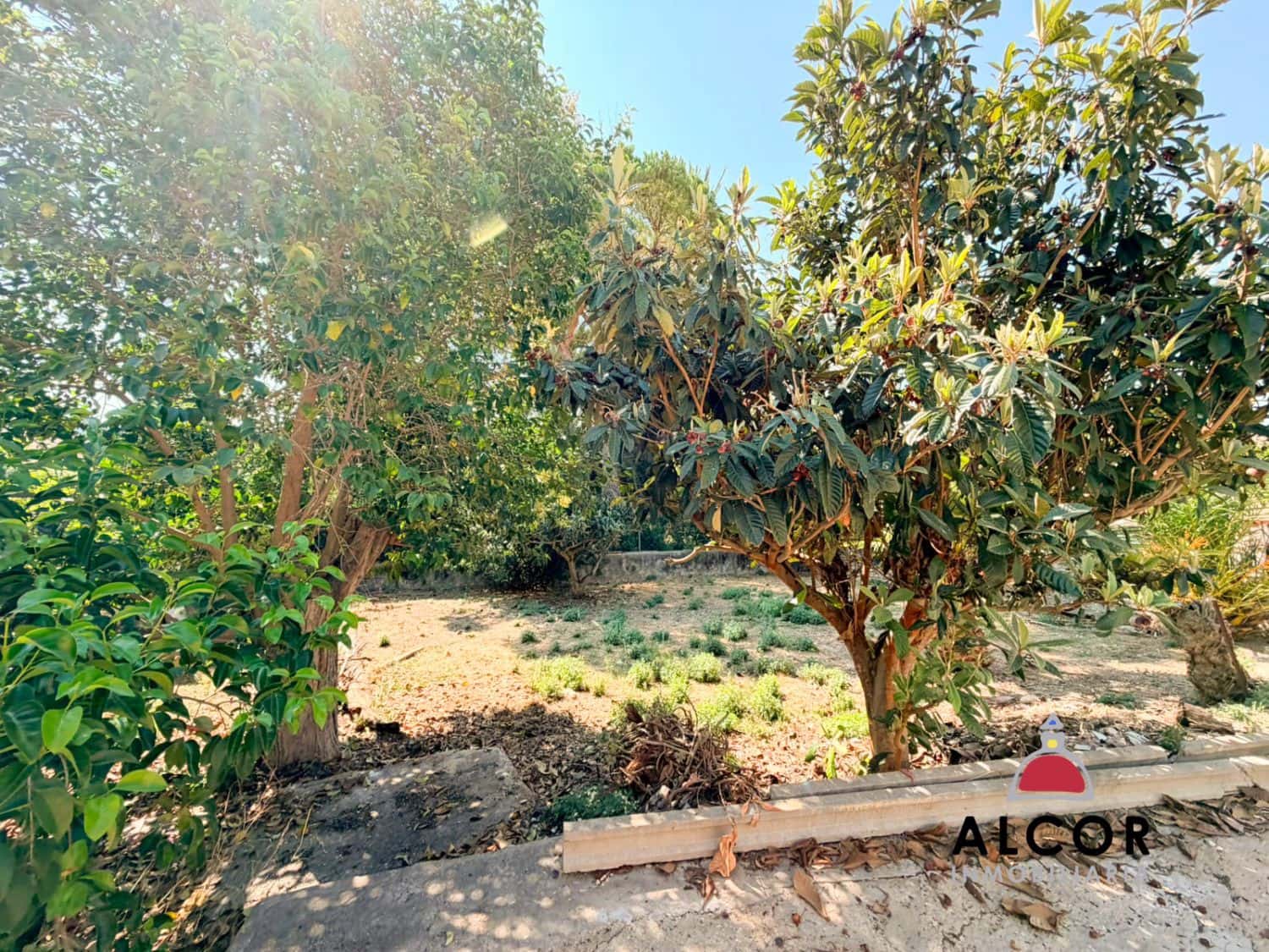 Grunde uden byggetilladelser til salg i Alcala de Xivert - € 55.000 (Ref: 9947390)