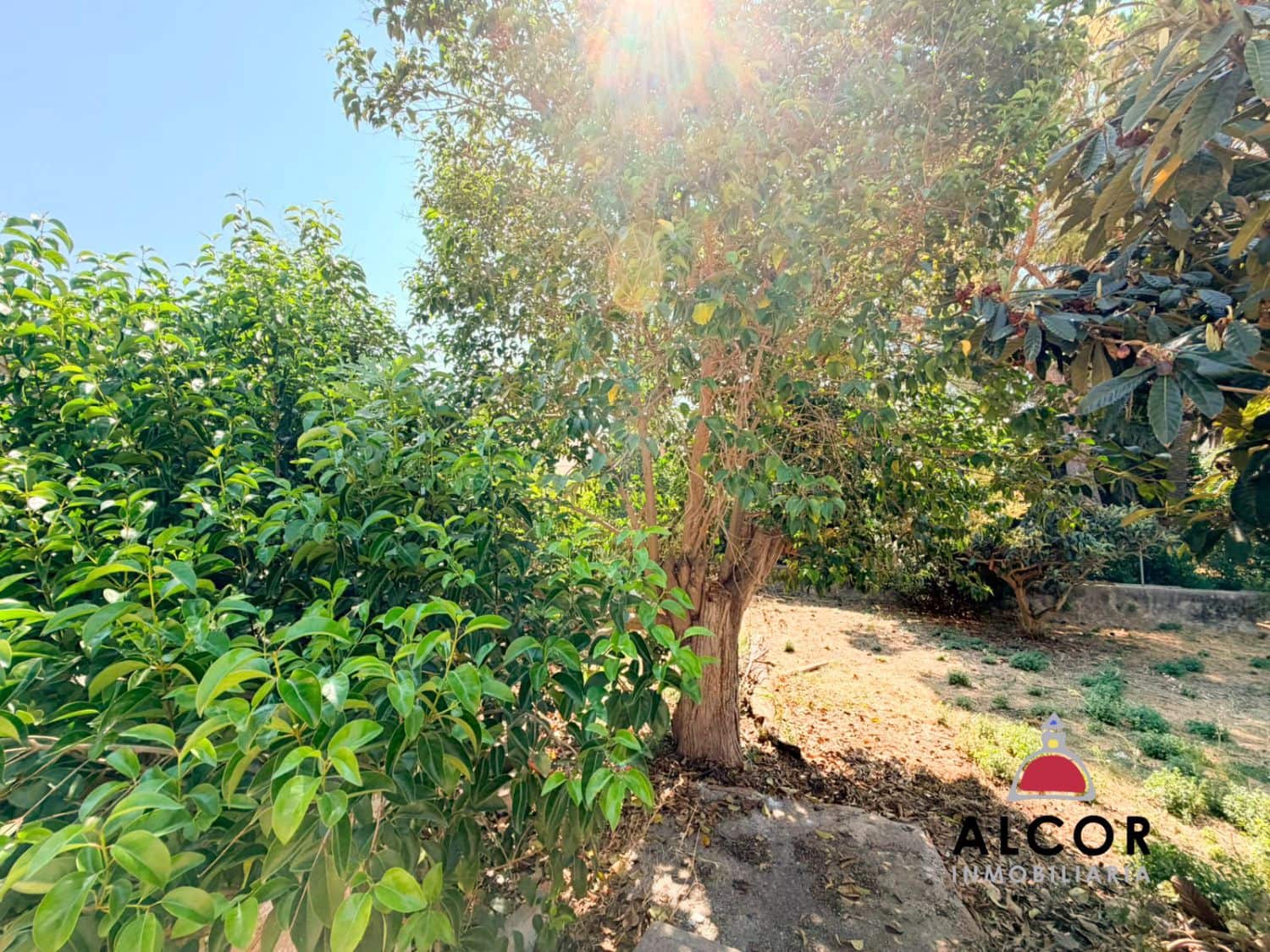 Grunde uden byggetilladelser til salg i Alcala de Xivert - € 55.000 (Ref: 9947390)