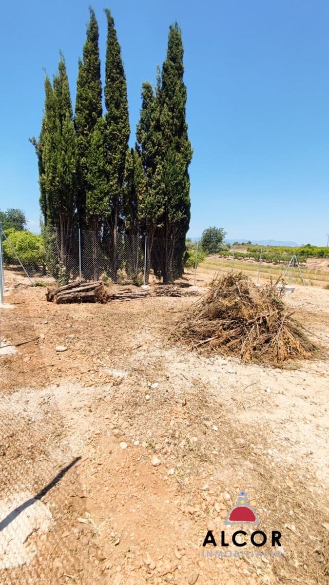 Finca/Landgut zu verkaufen in Vinaros - 35.000 € (Ref: 9952049)