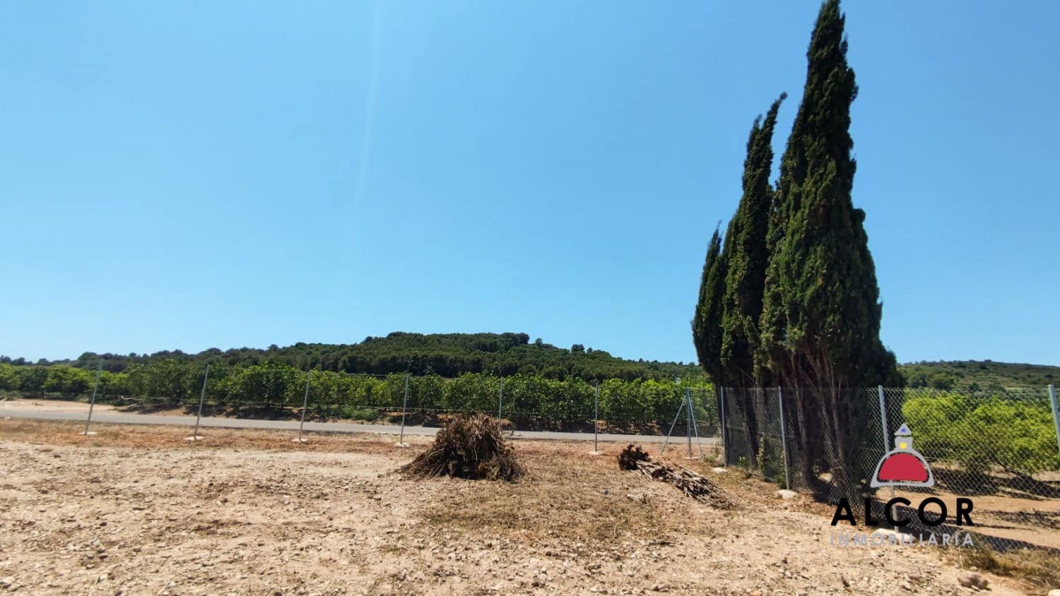 Finca/Landgut zu verkaufen in Vinaros - 35.000 € (Ref: 9952049)