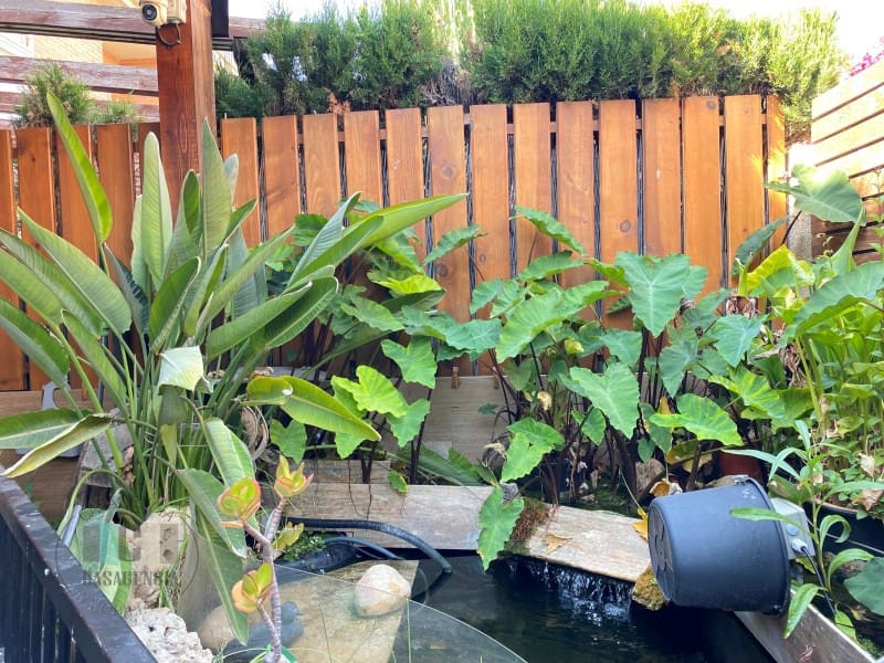 3 chambre Maison de Ville à vendre à Castello de la Plana avec garage - 368 000 € (Ref: 9434671)