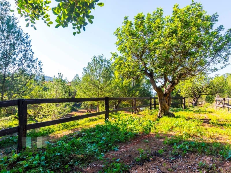 Finca/Country House for sale in Borriol - € 850,000 (Ref: 9434697)