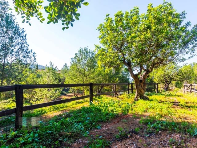 Finca/Casa Rural en Borriol en venta con garaje - 850.000 € (Ref: 9434697)