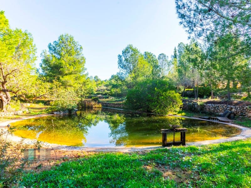 Finca/Country House for sale in Borriol - € 850,000 (Ref: 9434697)