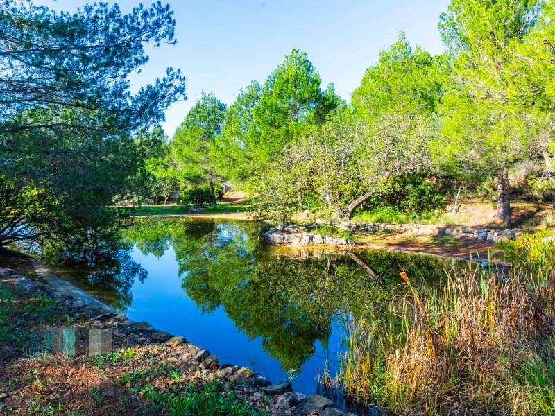 Finca/Country House for sale in Borriol - € 850,000 (Ref: 9434697)