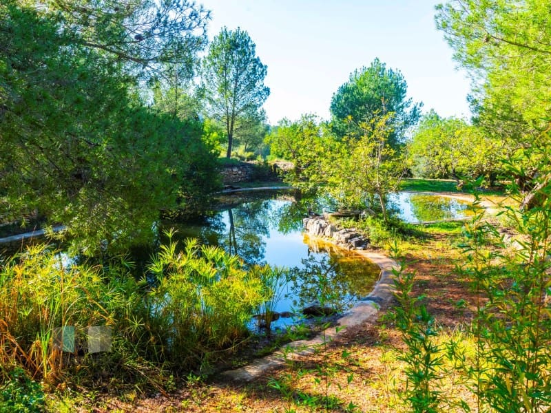 Finca/Country House for sale in Borriol - € 850,000 (Ref: 9434697)