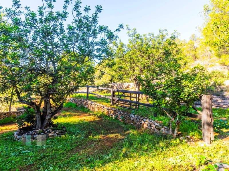 Finca/Country House for sale in Borriol - € 850,000 (Ref: 9434697)