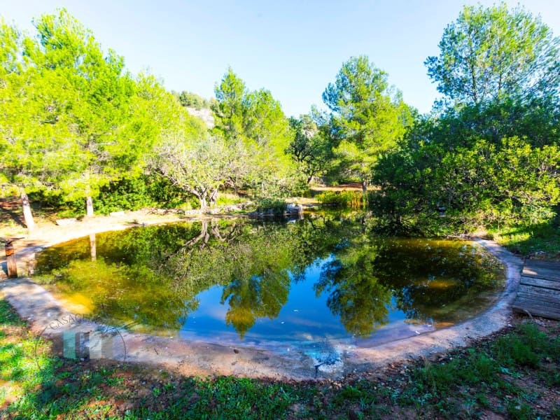 Finca/Country House for sale in Borriol - € 850,000 (Ref: 9434697)