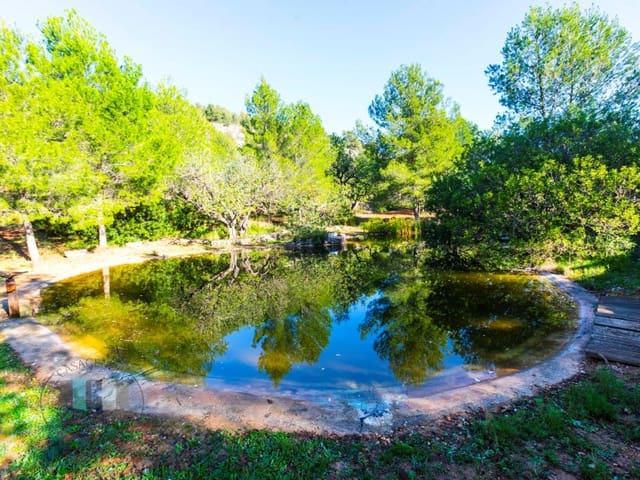 Finca/Casa Rural en Borriol en venta con garaje - 850.000 € (Ref: 9434697)