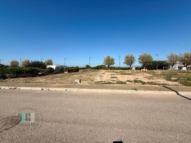 Terreno/Finca Rústica en Almassora / Almazora en venta - 100.000 € (Ref: 9434717)