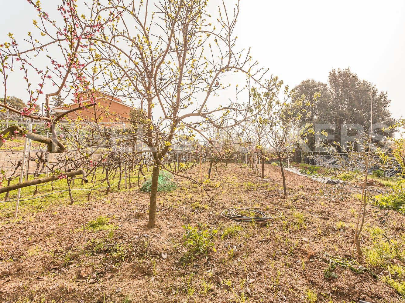 Building Plot for sale in L'Ametlla del Valles - € 130,000 (Ref: 9087484)