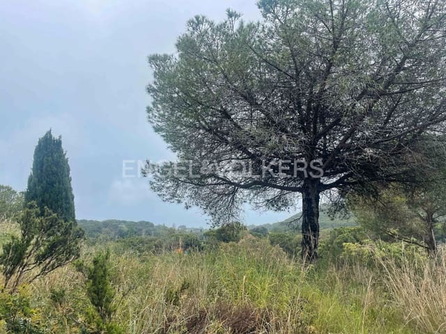 Byggegrund til salg i Sant Vicenç de Montalt - € 450.000 (Ref: 9087818)