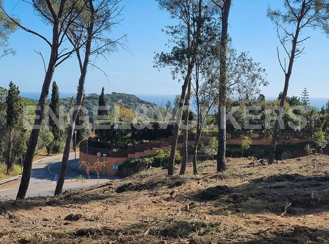 Byggegrund til salg i Sant Andreu de Llavaneres - € 441.000 (Ref: 9088000)